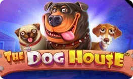 Rioace – The Dog House